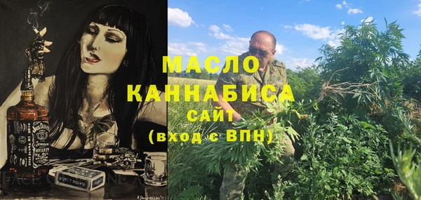 хмурый Арсеньев