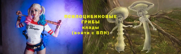 apvp Алексеевка