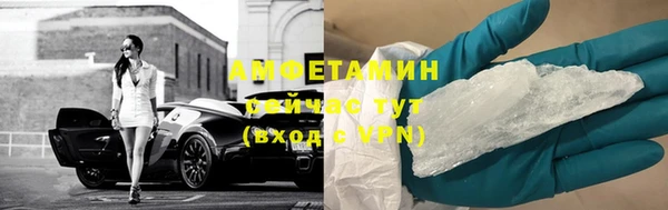хмурый Арсеньев
