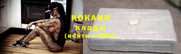хмурый Арсеньев