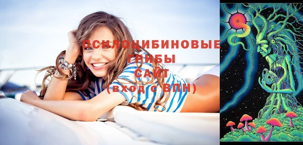 a pvp Армянск