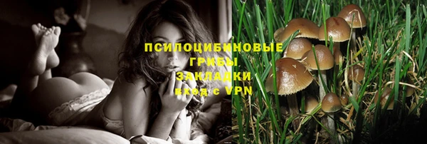apvp Алексеевка