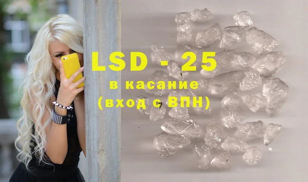 хмурый Арсеньев