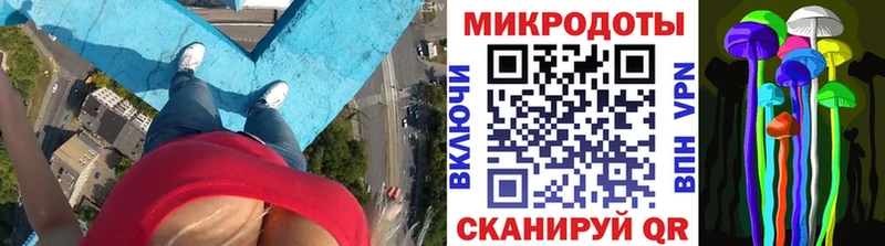 купить  цена  OMG ссылки  Псилоцибиновые грибы Cubensis  Богородск 